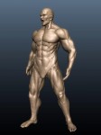 筋肉習作２