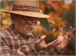 MonarchButterfly